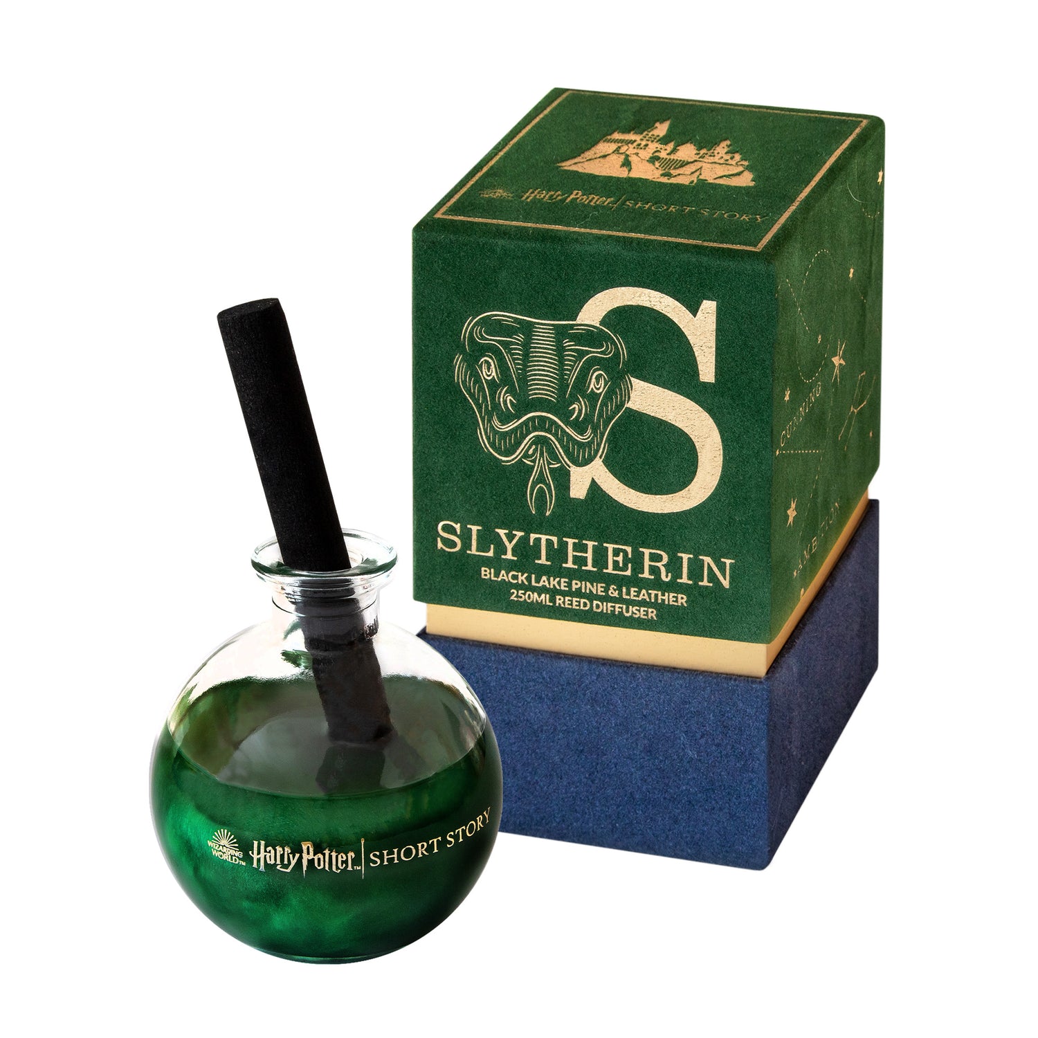 What makes you a Slytherin  Slytherin Gifts from House of Spells
